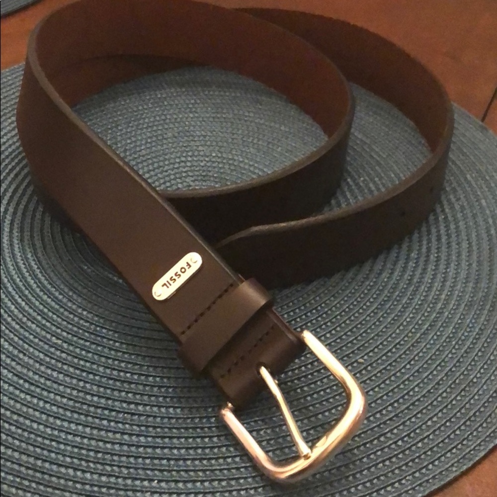 Fossil belt